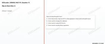 13.webp