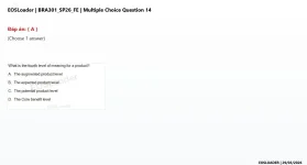 14.webp