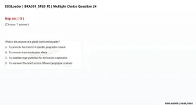 24.webp