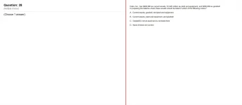 28.webp