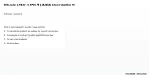 mc_question_18.webp