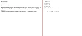 29.webp