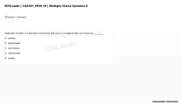 mc_question_8.webp