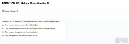 DBI202 SP26 FE RE_016.webp