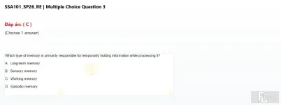SSA101 SP26 FE RE_003.webp