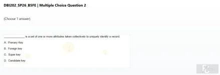 DBI202 SP26 B5 FE_002.webp
