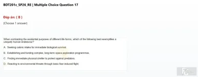 BDT201c SP26 RE_017.webp