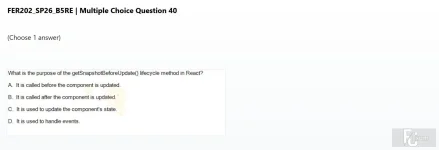FER202 SP26 B5 FE RE_040.webp
