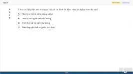 MLN111 SP26 FE_27.webp
