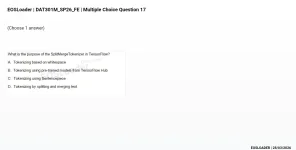 mc_question_17.webp