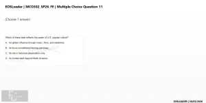 mc_question_11.webp