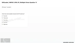mc_question_13.webp