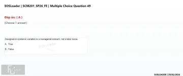 Q_049.webp