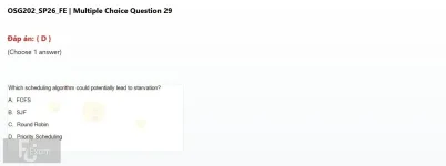 Q_029.webp
