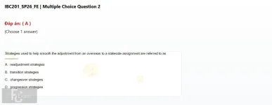 IBC201 SP26 FE_002.webp