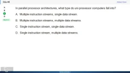 CEA201 SP26 FE_045.webp