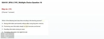 SSA101 SP26 FE_016.webp