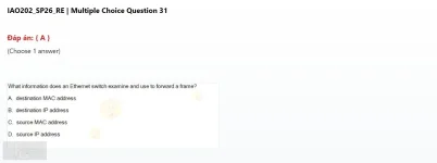 IAO202 SP26 FE RE_031.webp