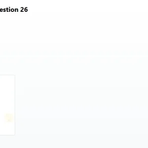 GLT301 SP26 FE RE_012.webp