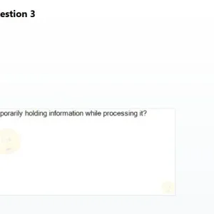 SSA101 SP26 FE RE_003.webp