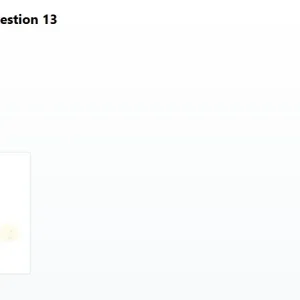 SSA101 SP26 FE RE_013.webp