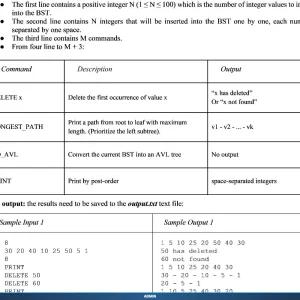 CSD203 SP26 B5 PE_005.webp