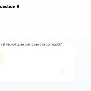 MLN111 SP26 B5 FE_9.webp