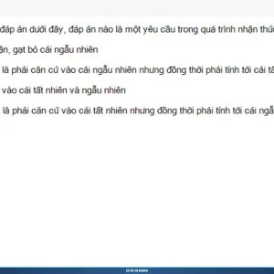 MLN111 SP26 B5 FE RE_009.webp