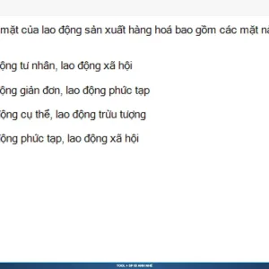 MLN122 SP26 B5 FE RE_006.webp