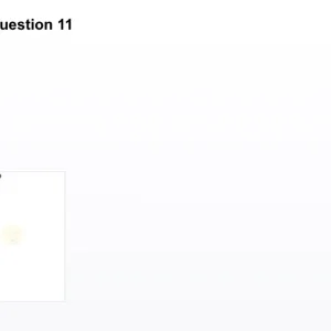 LOG311 SP26 FE RE_11.webp