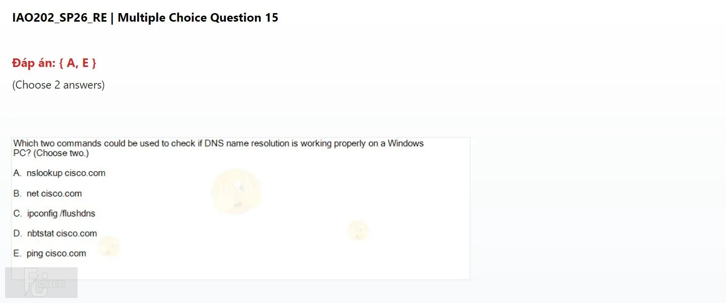 IAO202 SP26 FE RE_015.webp