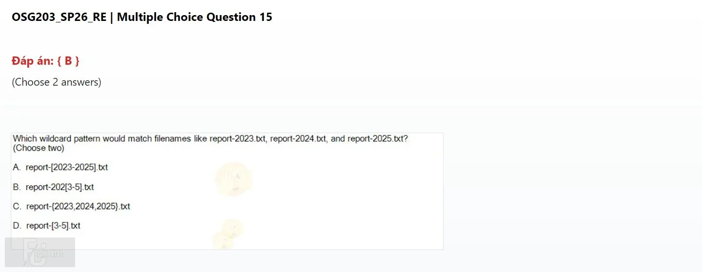 OSG203 SP26 FE RE_15.webp