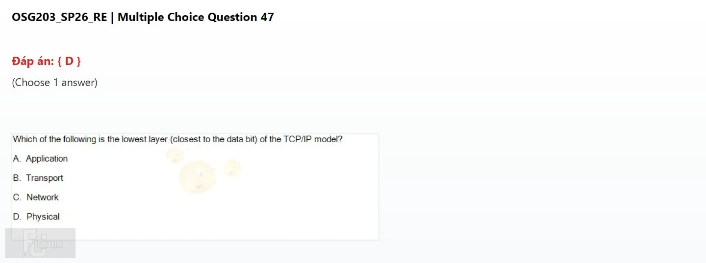 OSG203 SP26 FE RE_47.webp